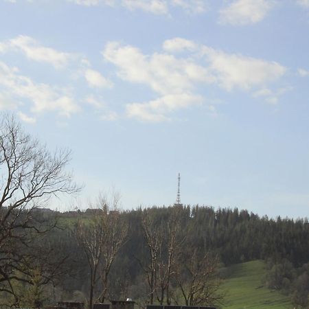 Pokoje Samo Centrum Zakopane ,,Willa Kasztelanka" Экстерьер фото